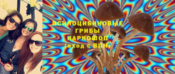 mix Алексин