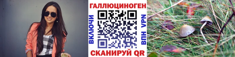 Псилоцибиновые грибы мицелий Белоозёрский